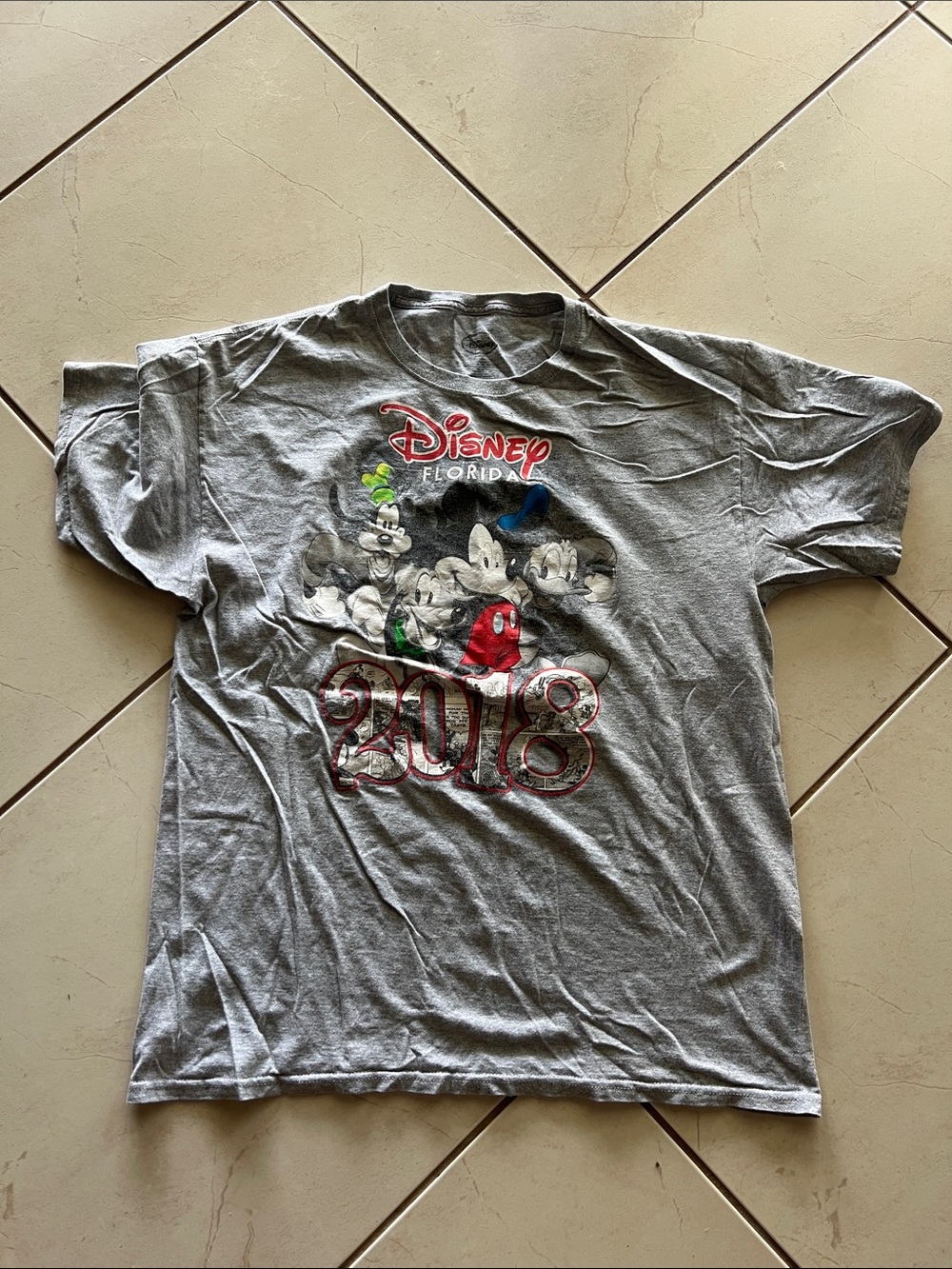 Disney Florida 2018 Grey Kids Graphic T-Shirt